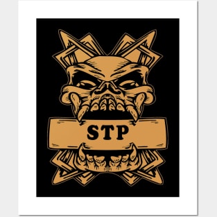 stp Posters and Art